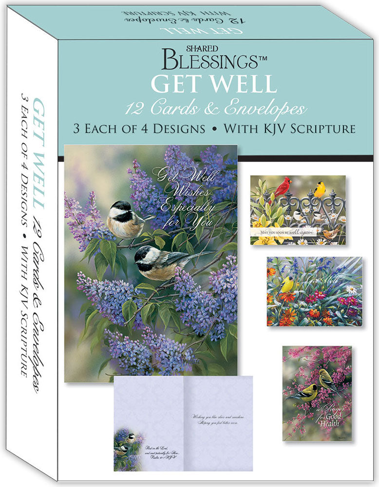 GET WELL III - Assorted Get Well Cards, Box of 12