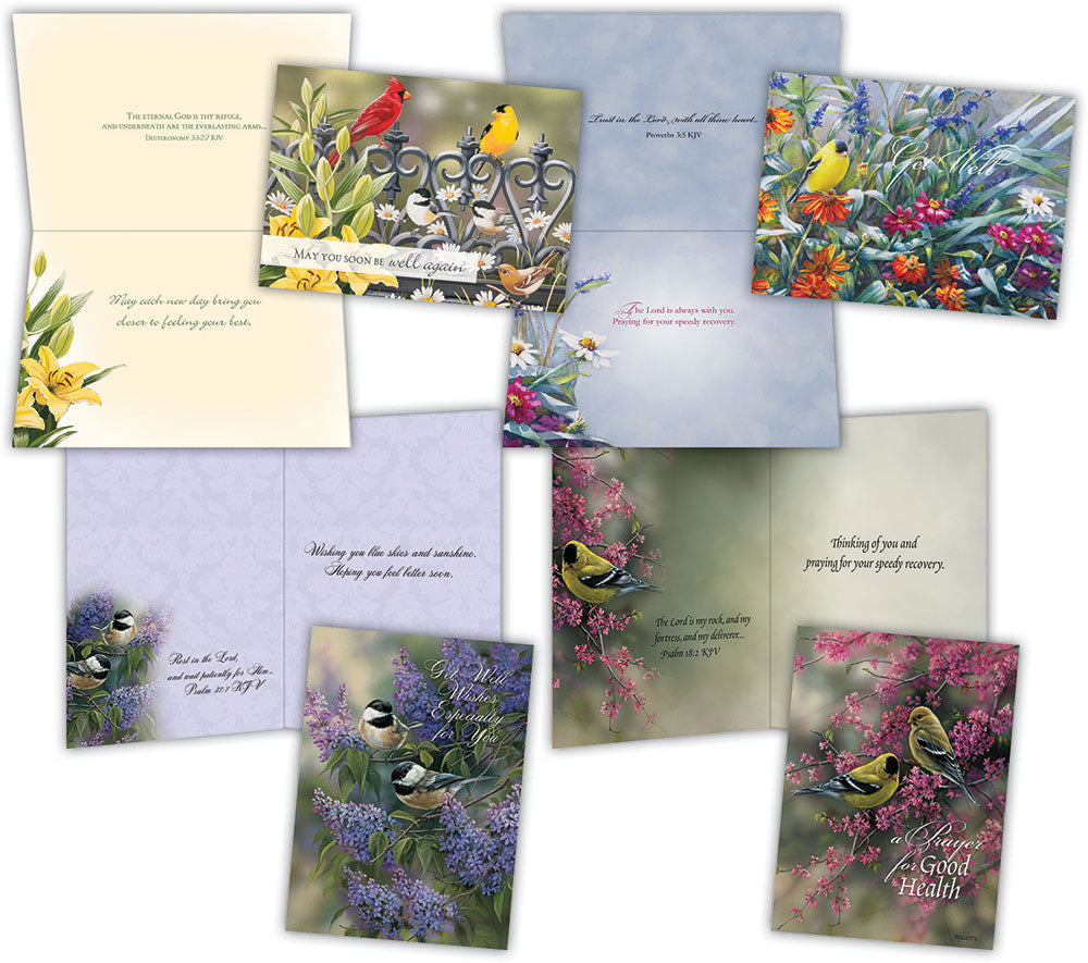 4 get well cards with birds and kjv scripture