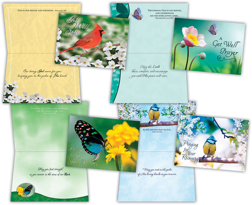 Get Well - Birds and Butterflies - Assorted Get Well Cards, Box of 12