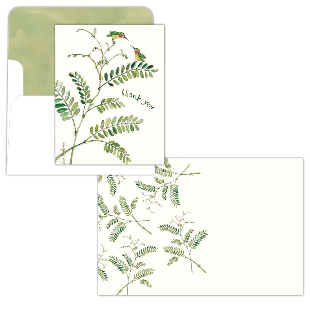 Hummingbirds and Ferns Thank You, Box of 15
