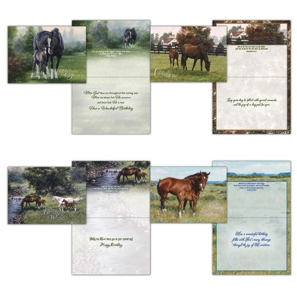 Christian Birthday Cards by Shared Blessings-Beginnings, 12 Cards