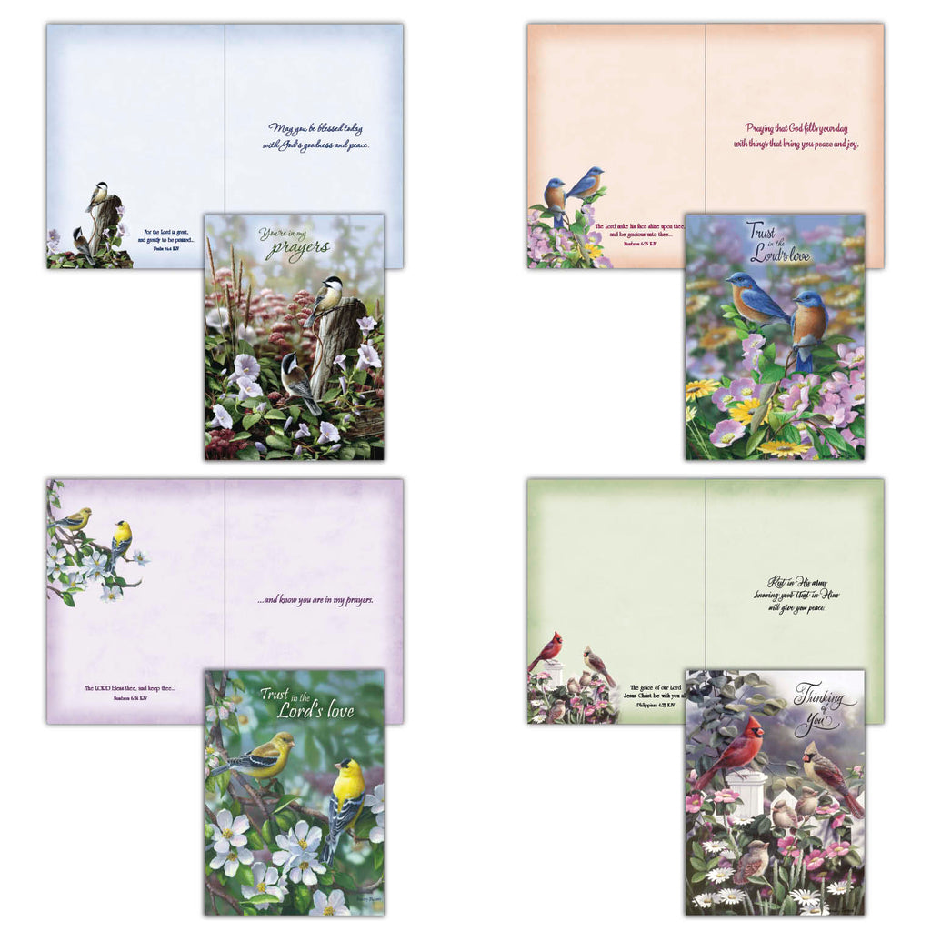 Christian Thinking of You Cards by Shared Blessings, Signs of Spring  - Box of 12 Cards and Envelopes