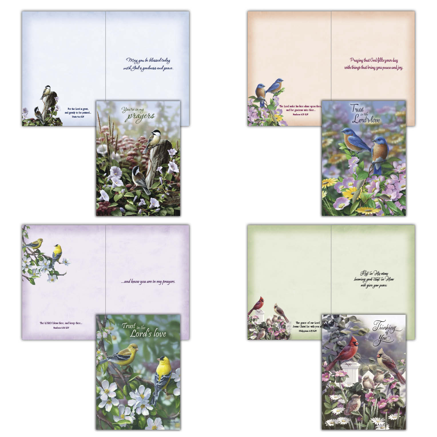 Christian Thinking of You Cards by Shared Blessings, Signs of Spring  - Box of 12 Cards and Envelopes
