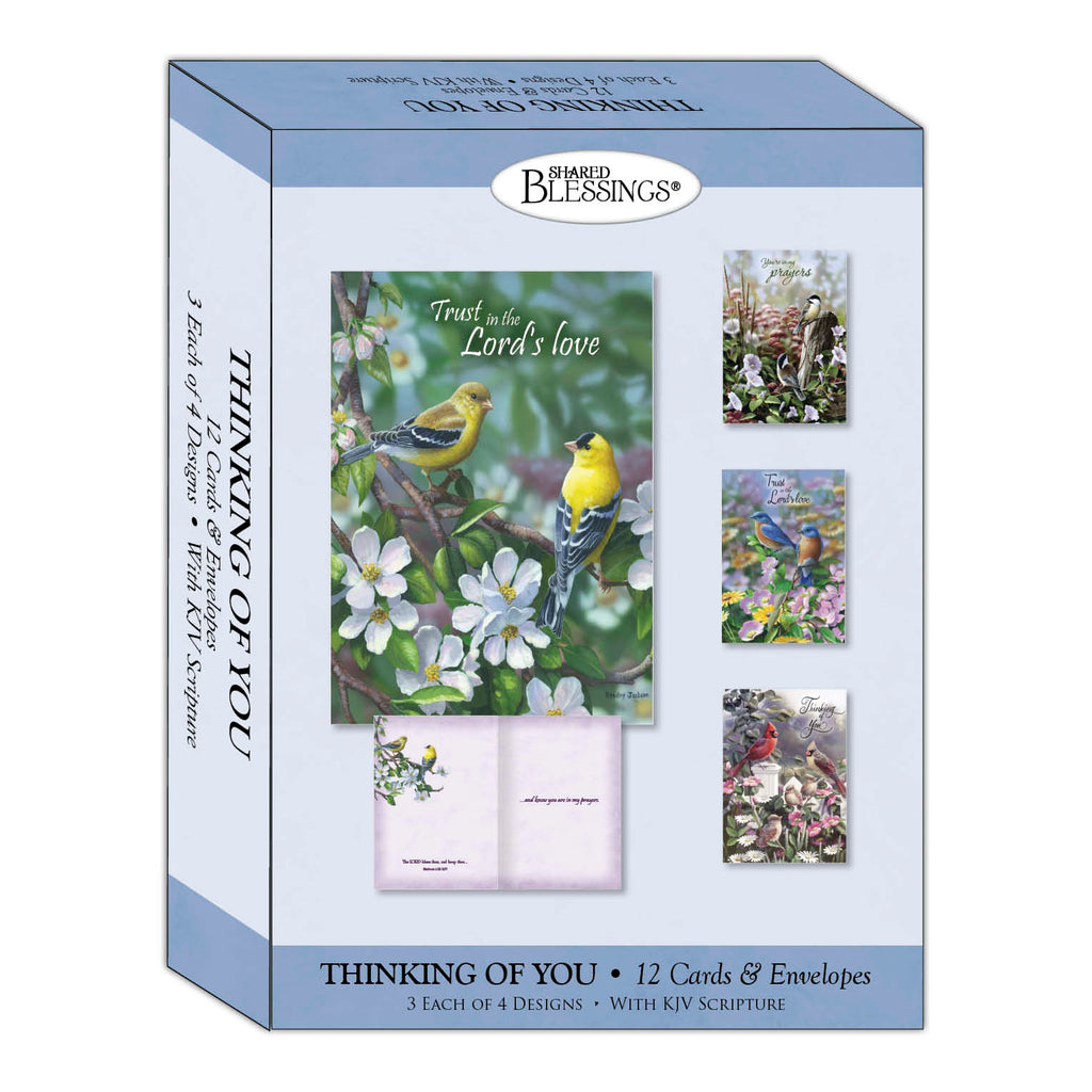 Christian Thinking of You Cards by Shared Blessings, Signs of Spring  - Box of 12 Cards and Envelopes
