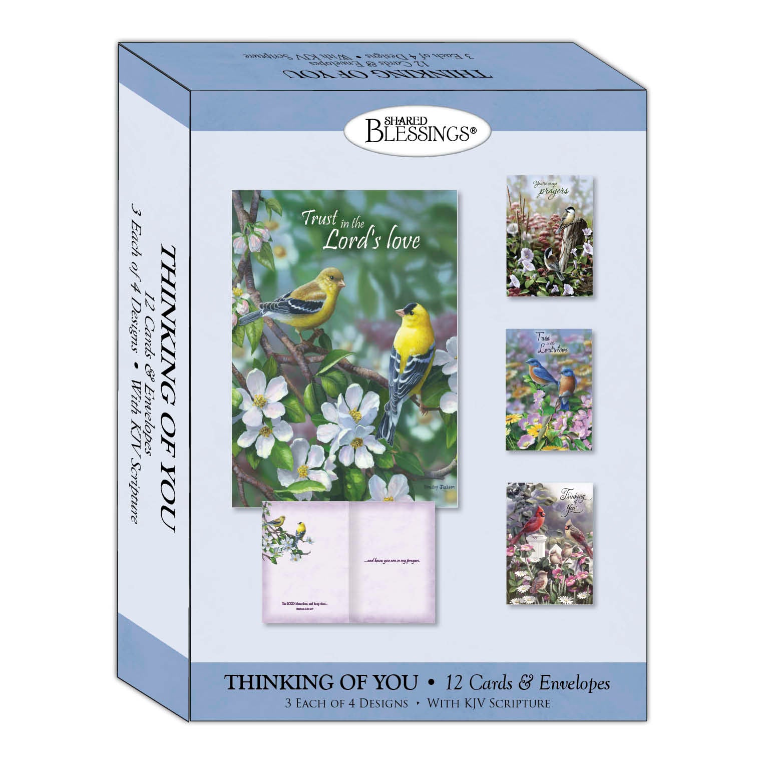 Christian Thinking of You Cards by Shared Blessings, Signs of Spring  - Box of 12 Cards and Envelopes