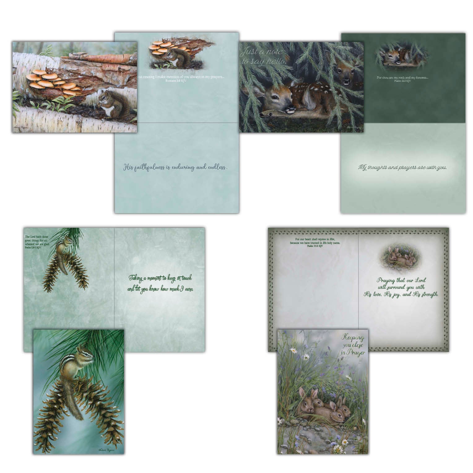 Christian Thinking of You Cards by Shared Blessings, Woodlands, Box of 12
