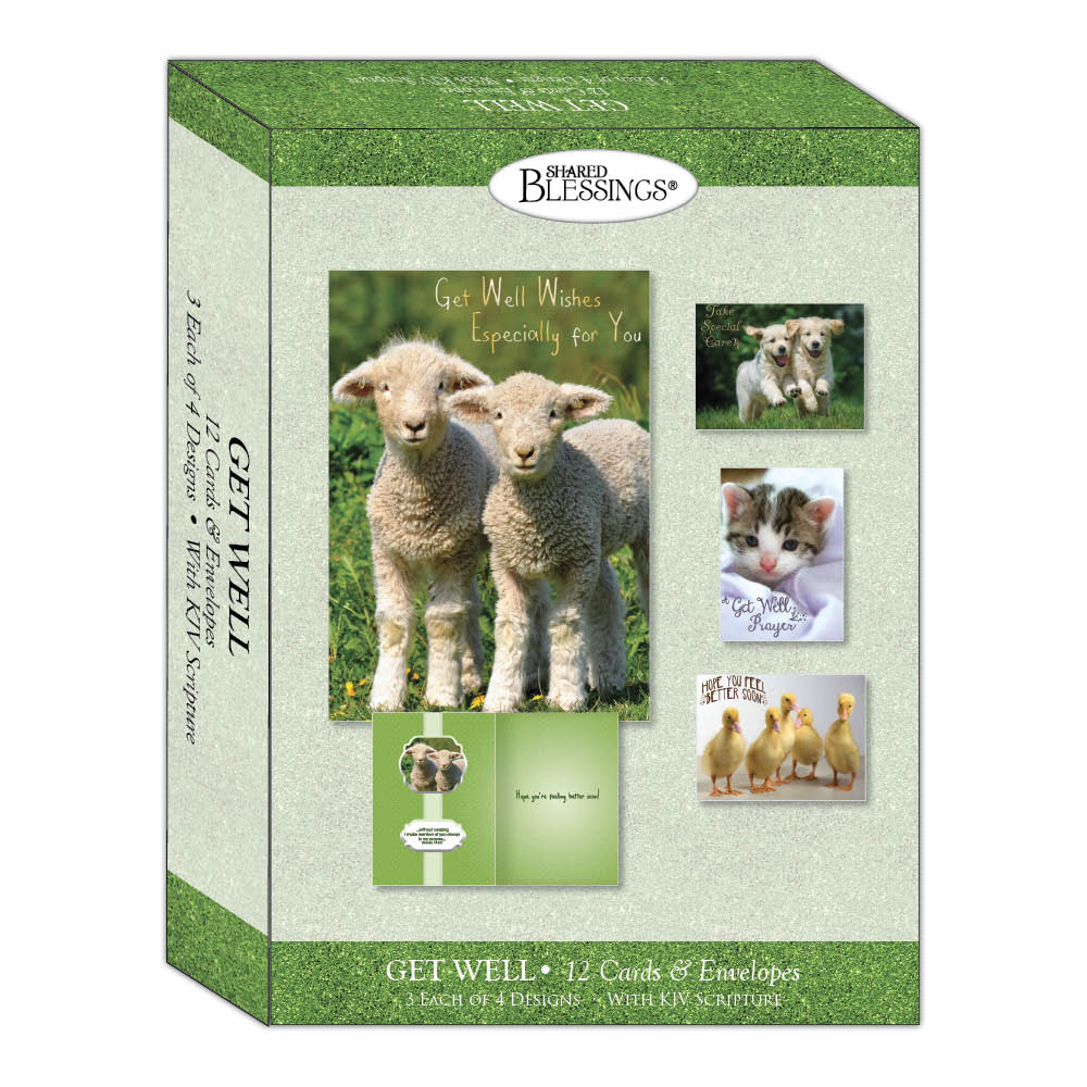 Fun Friends - Boxed Assorted Get Well Cards