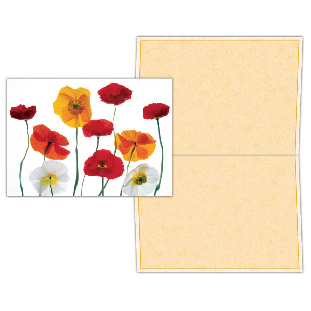 Red, Yellow and White Poppies - Boxed Greeting Cards, Box of 15