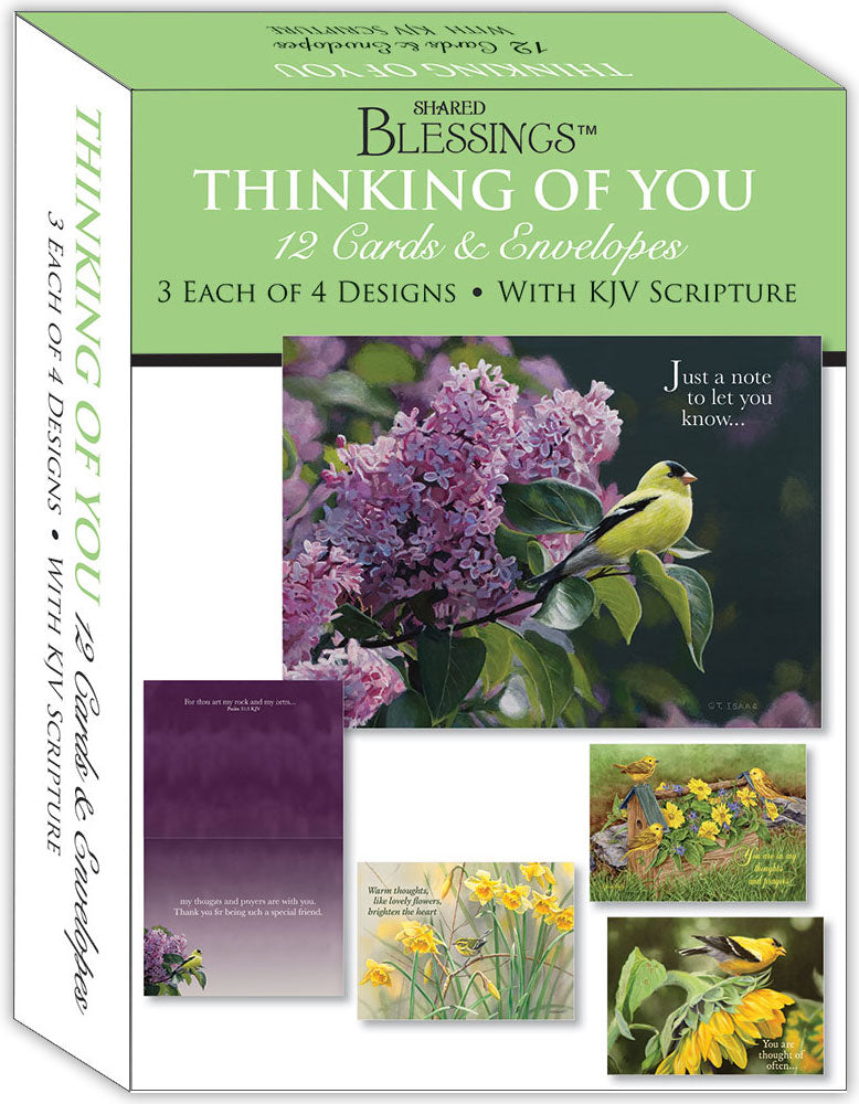 Christian Thinking of You Cards by Shared Blessings, 12 Cards and Envelopes