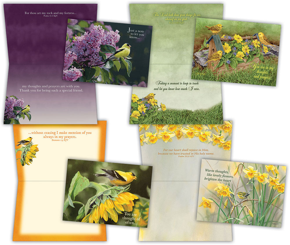 Christian Thinking of You Cards by Shared Blessings, 12 Cards and Envelopes