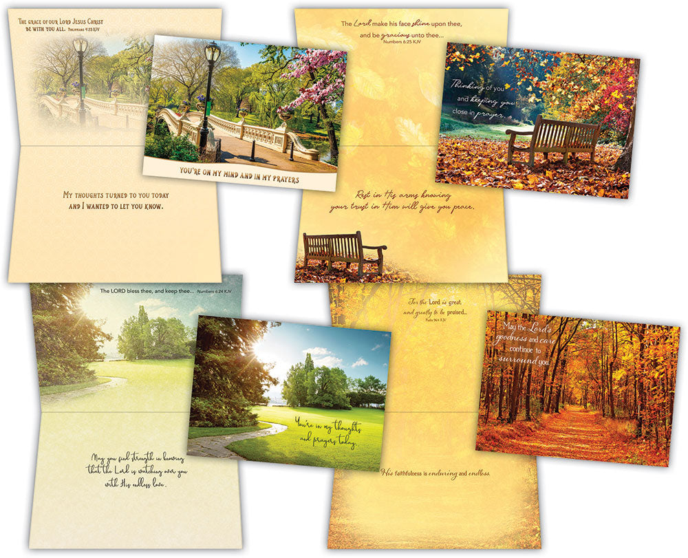 Thinking of You - Pathways - Assorted Thinking of You Cards, Box of 12