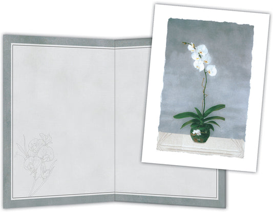 White Orchids - Boxed Note Cards, Box of 15
